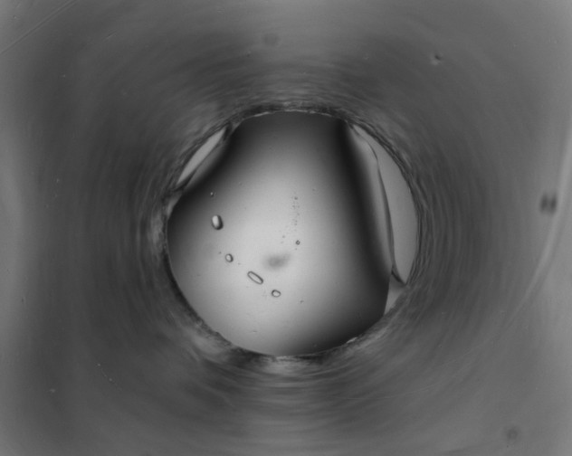 X0000101690336200807241414