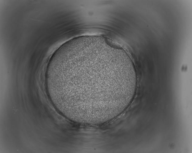 X0000101690337200807241414