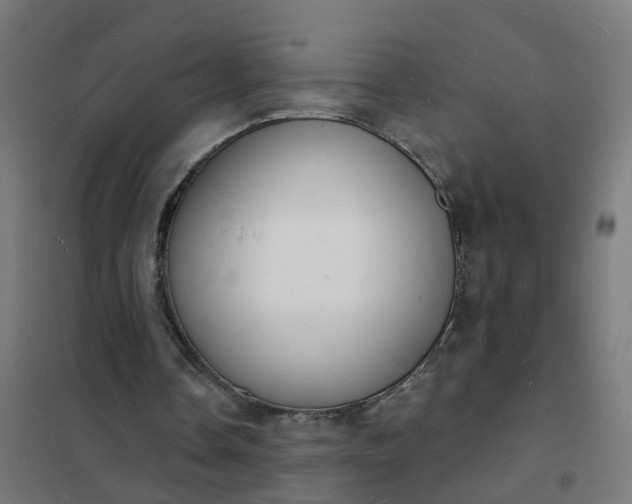 X0000101690338200807241414