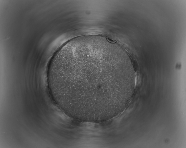 X0000101690339200807241414