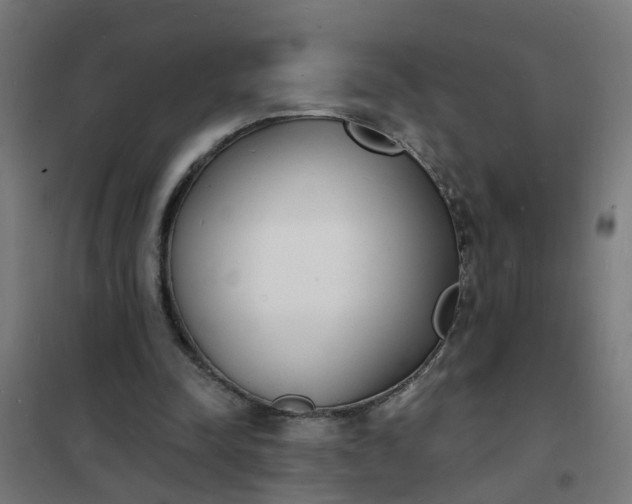 X0000101690342200807241414