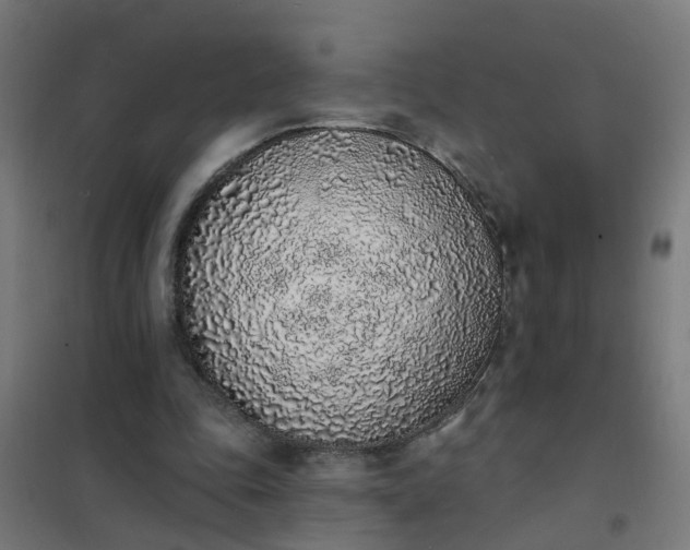 X0000101690343200807241414