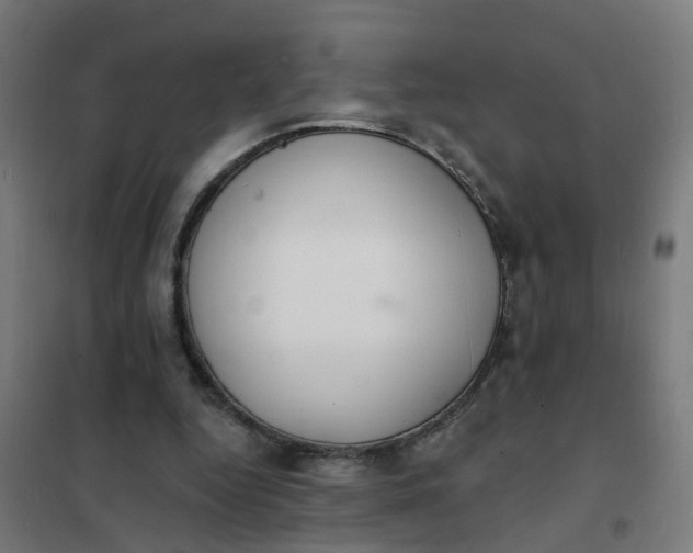 X0000101690344200807241414