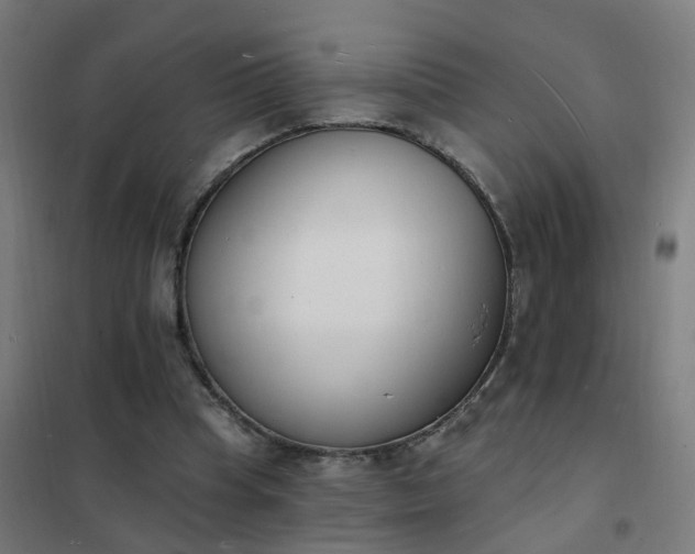 X0000101690345200807241414