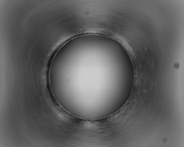 X0000101690346200807241414