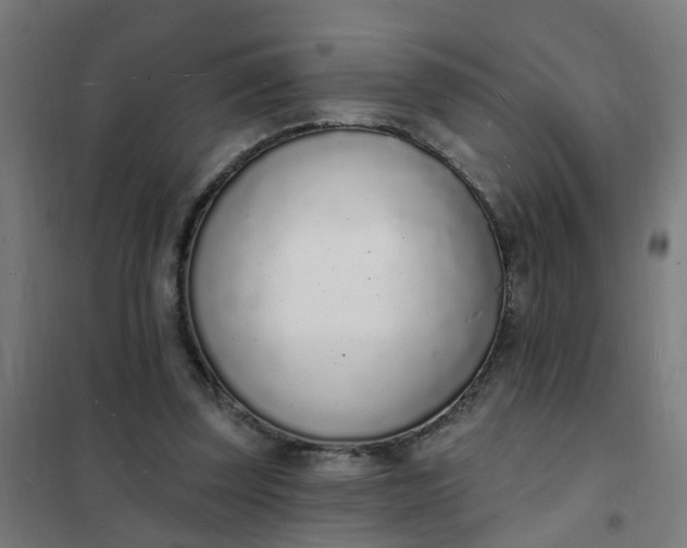 X0000101690347200807241414