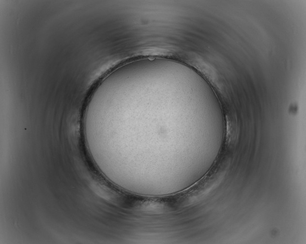 X0000101690348200807241414