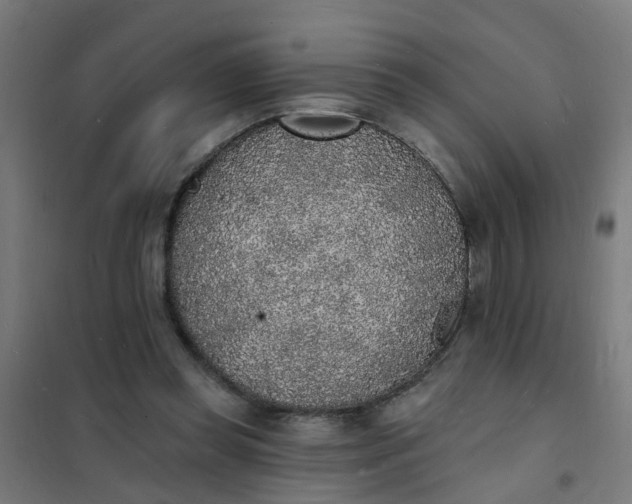 X0000101690349200807241414