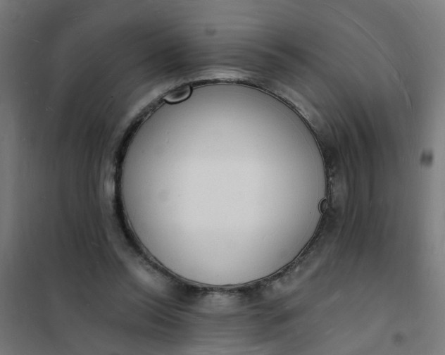 X0000101690350200807241414