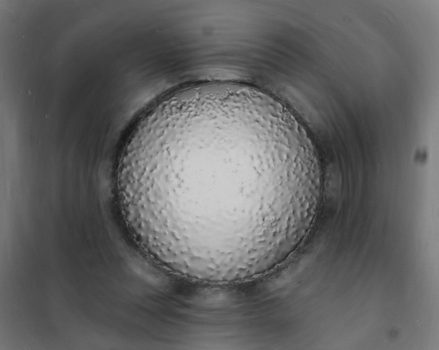 X0000101690351200807241414