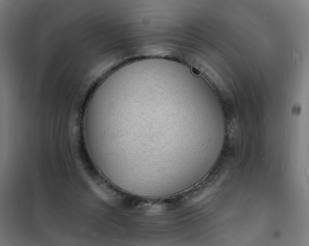 X0000101690352200807241414