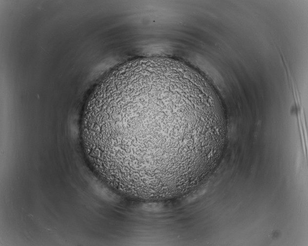 X0000101690353200807241414