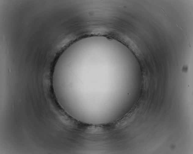 X0000101690354200807241414