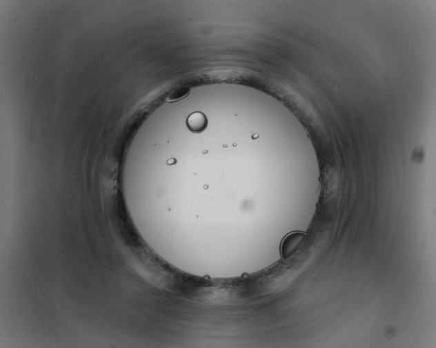 X0000101690356200807241414