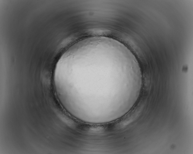 X0000101690357200807241414