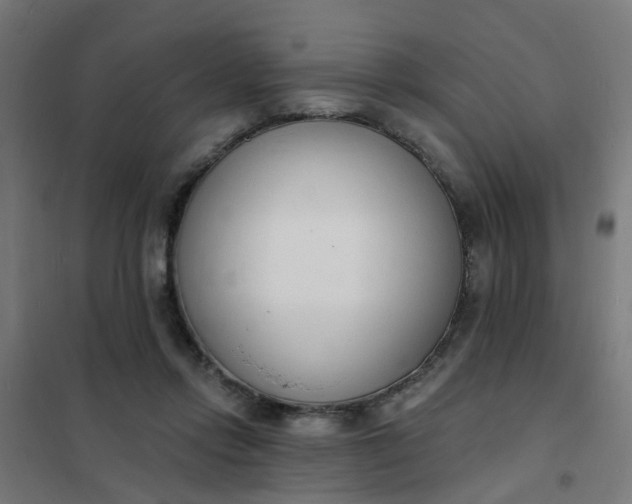 X0000101690358200807241414