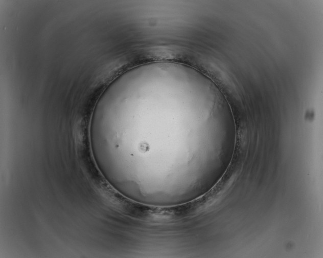 X0000101690359200807241414