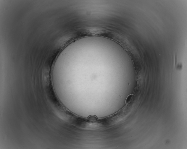 X0000101690360200807241414