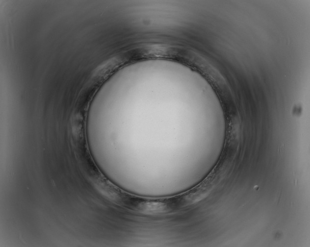 X0000101690361200807241414