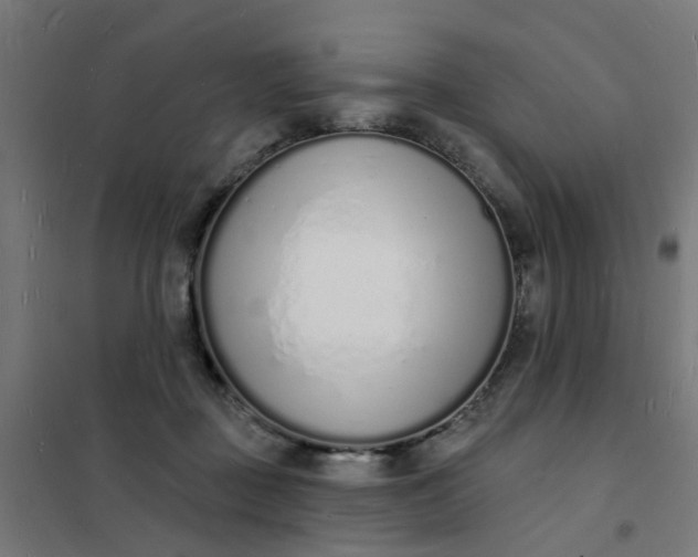 X0000101690363200807241414