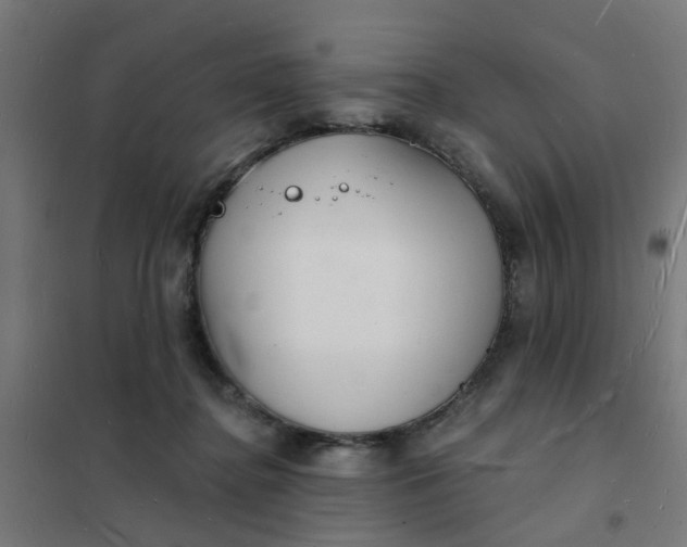 X0000101690364200807241414