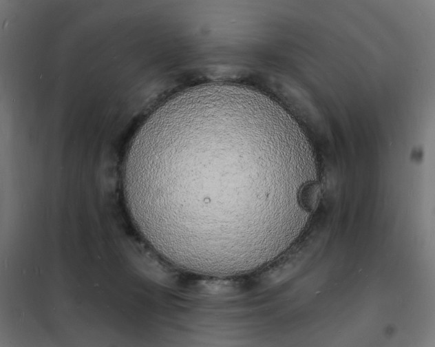 X0000101690367200807241414