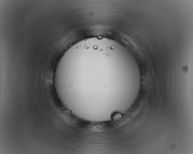 X0000101690368200807241414