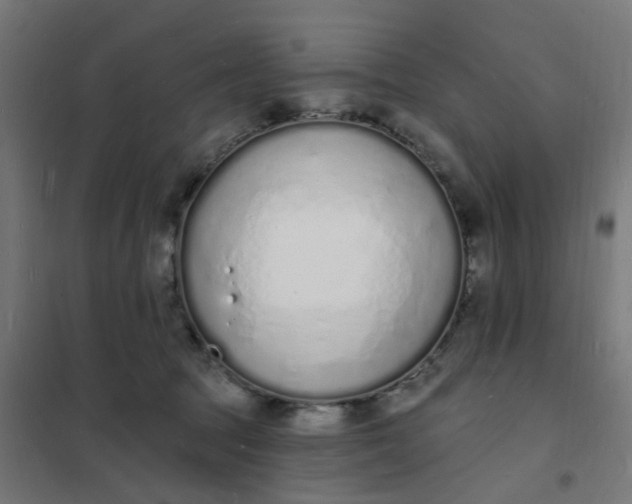 X0000101690369200807241414