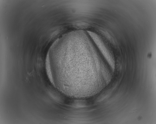 X0000101690371200807241414