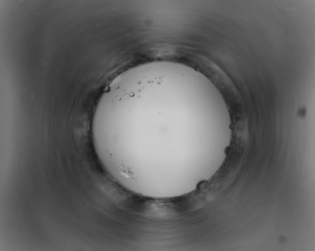 X0000101690372200807241414