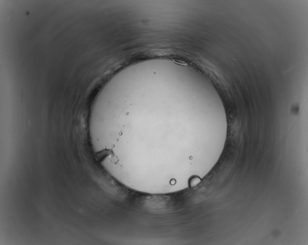 X0000101690373200807241414