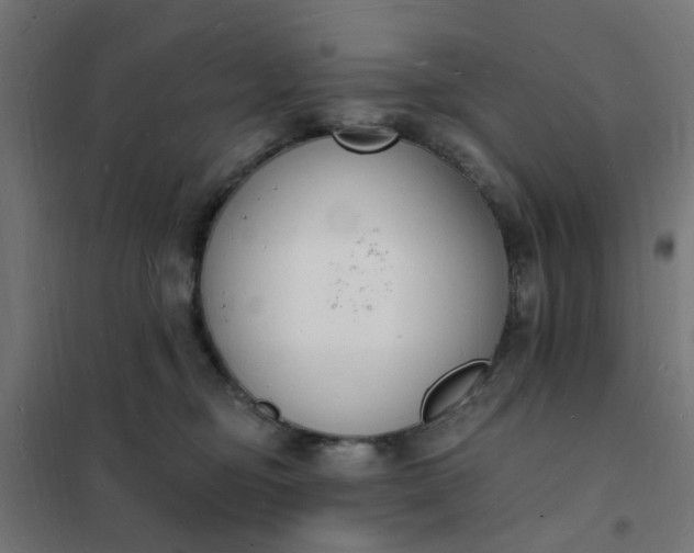 X0000101690374200807241414