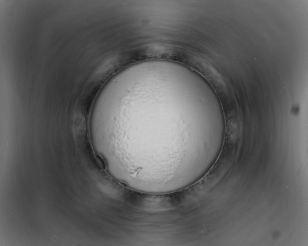 X0000101690375200807241414