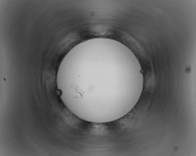 X0000101690376200807241414