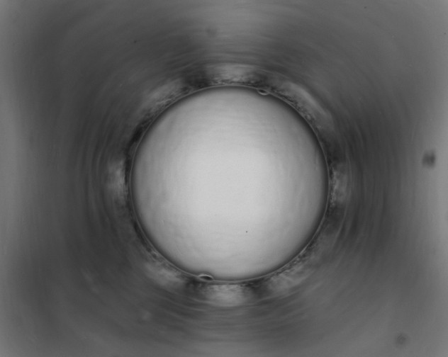 X0000101690377200807241414