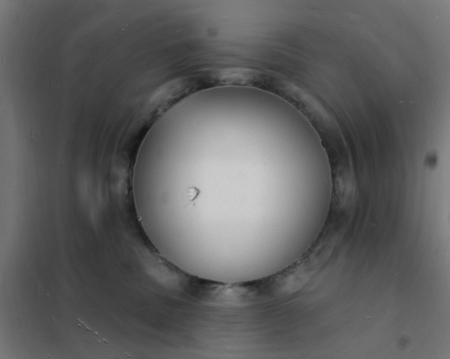 X0000101690379200807241414