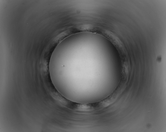 X0000101690380200807241414