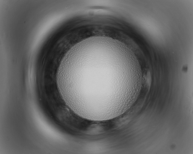 X0000101690381200807241414