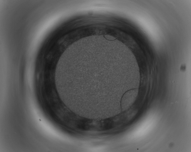 X0000101690383200807241414