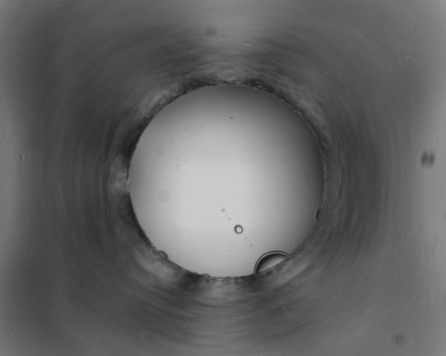 X0000101690384200807241414