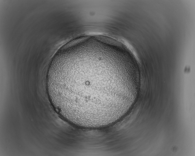 X0000101690385200807241414