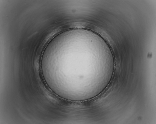 X0000101690386200807241414