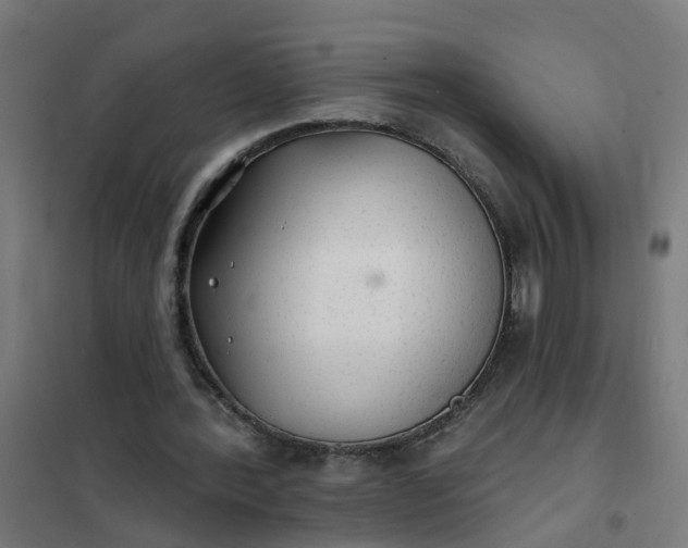 X0000101690388200807241414