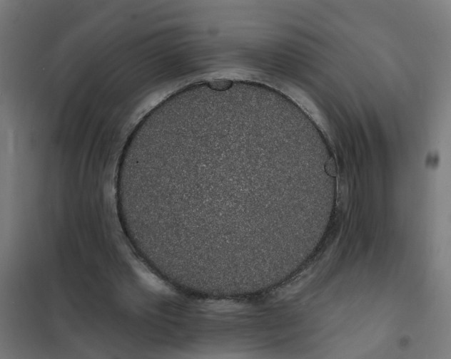 X0000101690389200807241414