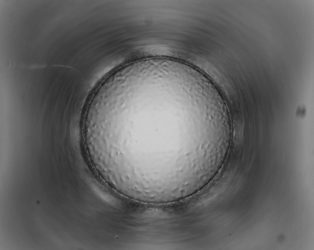 X0000101690390200807241414