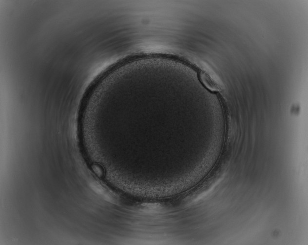 X0000101690391200807241414