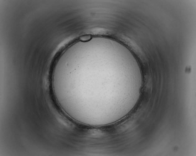 X0000101690392200807241414