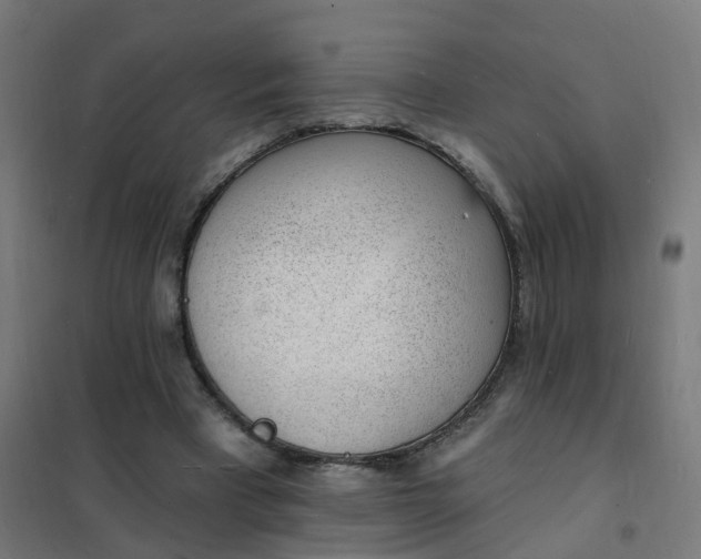 X0000101690393200807241414