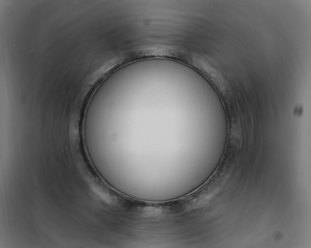 X0000101690394200807241414