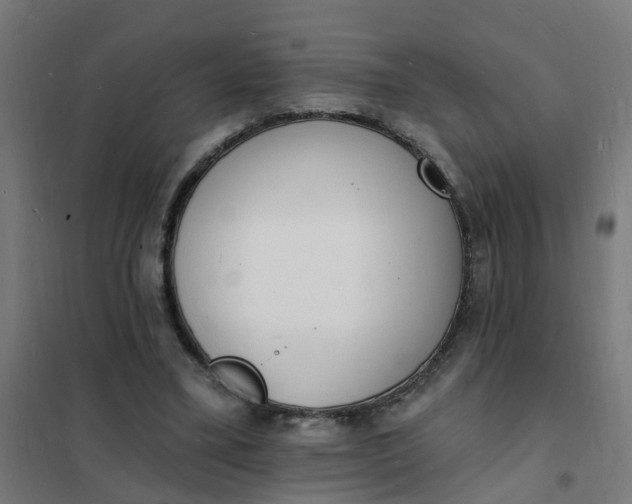 X0000101690395200807241414